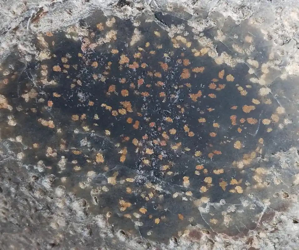 cm3型原始碳质球粒陨石.这是一块陨硫铁(大小一毫米左右)丰 - 抖音