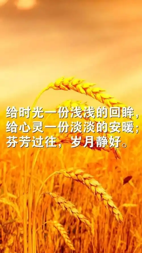 正能量人生格言(正能量人生格言励志短句)