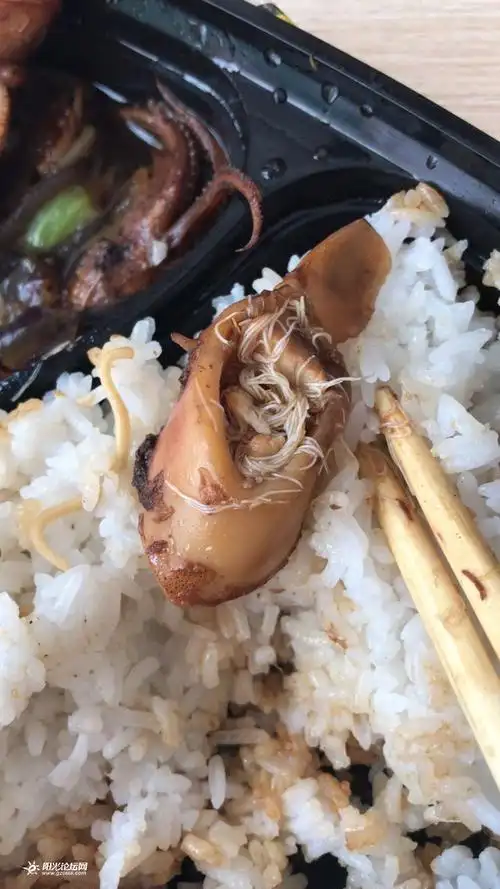 大家帮我看下,今天买了一份快餐,想知道鱿鱼肚子里,一条条,整团