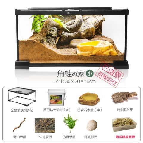 宠物角蛙造景玻璃饲养缸生态环境爬宠缸雨林缸水陆缸景观箱