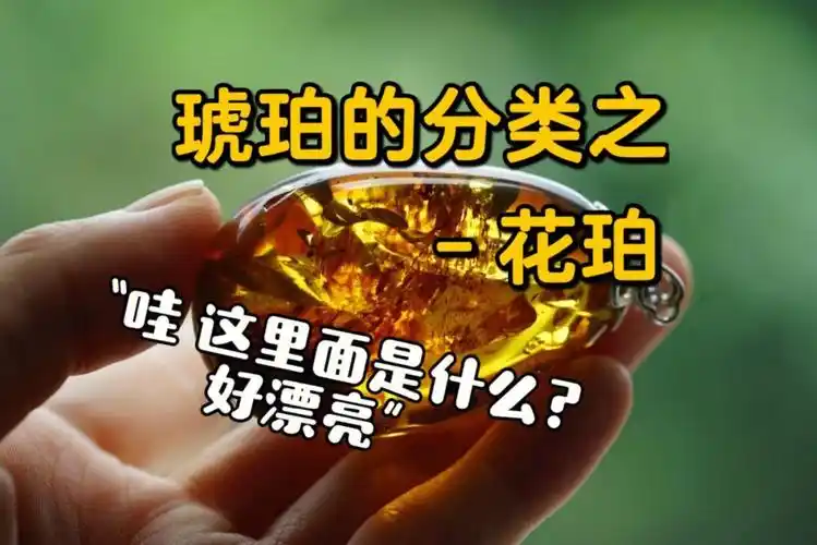 富有艺术感的琥珀花珀