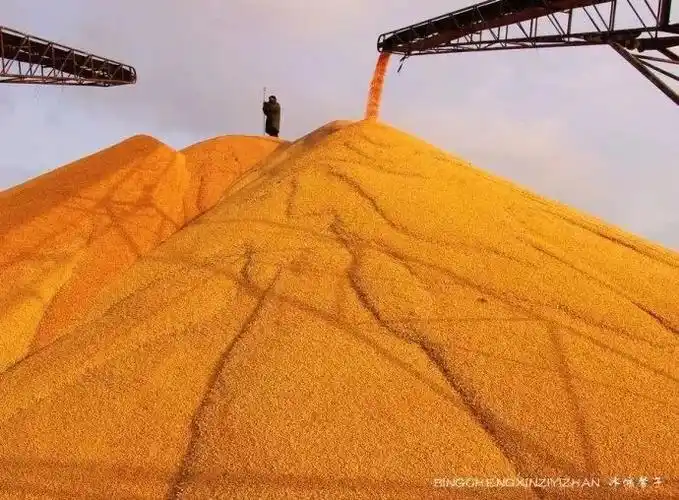 月从今夜满秋向此时分丨首届中国农民丰收节看看啥叫大粮仓