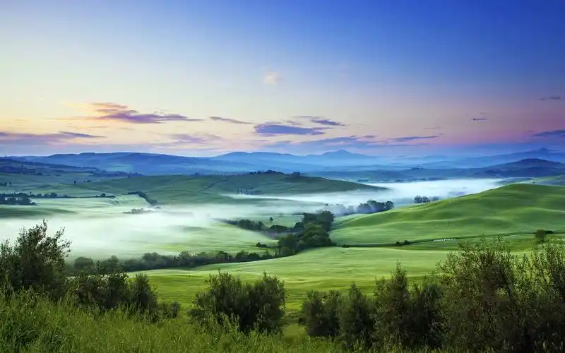 清新绿色护眼自然风光图片桌面壁纸