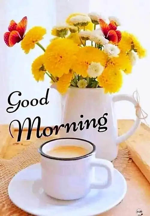 祝福语:早上好,good morning