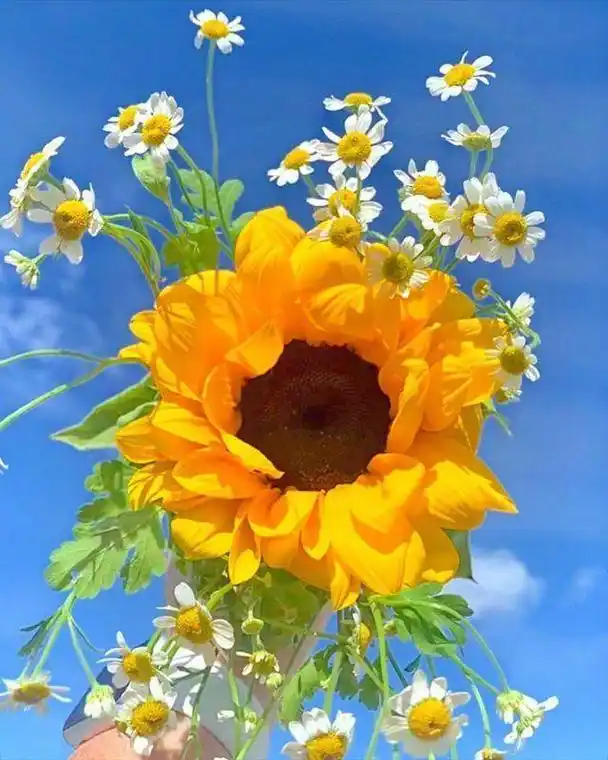 令人深思的晚安句子,积极向上,发朋友圈激励自己