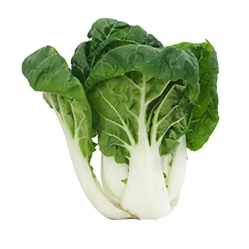 矮脚白菜种籽种子菜青菜籽大田秋冬季阳台盆栽家庭园艺种子