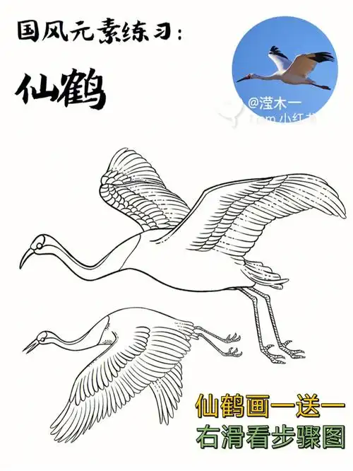 国风线稿练习87仙鹤