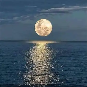 2019男人最招财的微信头像大富大贵微信招财头像图片