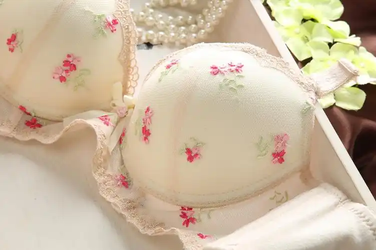 调整型高档刺绣小花朵可拆垫女士文胸套装批发供应调整型文胸套装