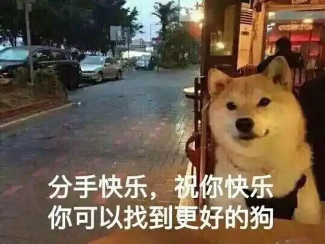 doge)_祝你快乐_单身狗_doge_分手_快乐表情