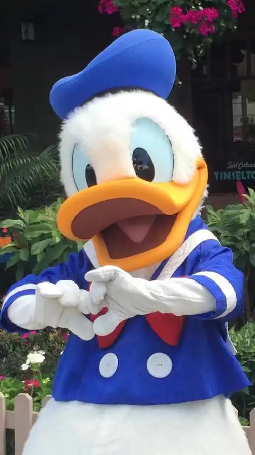 唐老鸭 - 堆糖,美图壁纸兴趣社区