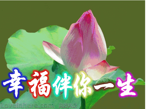 500_375gif 动态图 动图