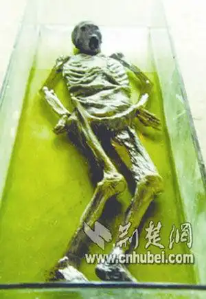 中国古尸第一案:珍贵战国古尸惨遭毁坏(图)