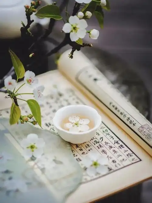 只有保持内心安静,人生才能淡然从容