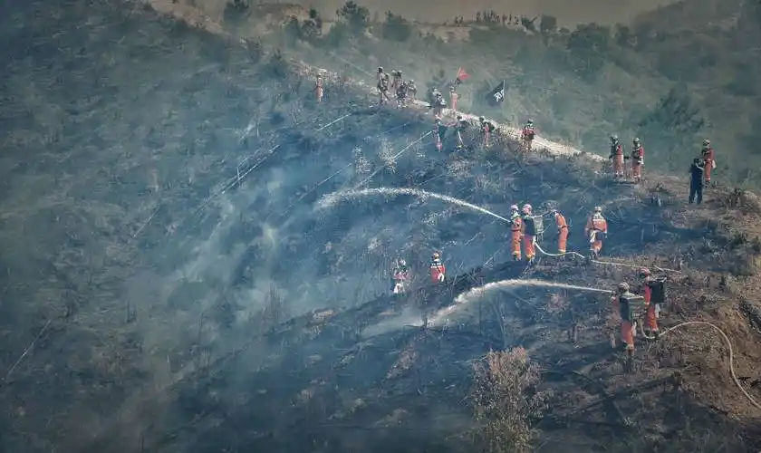 广东消防600余人开展跨区域森林火灾扑救实战拉动演练_救援_演练_扑救