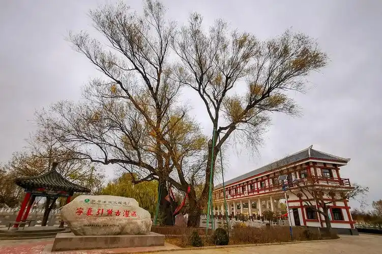 宁夏吴忠市青铜峡市大坝镇韦桥村