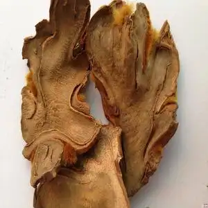 金毛狗脊500g克中药材金毛狗中草药金狗脊粉