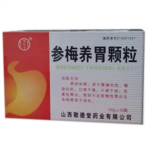 参梅养胃颗粒