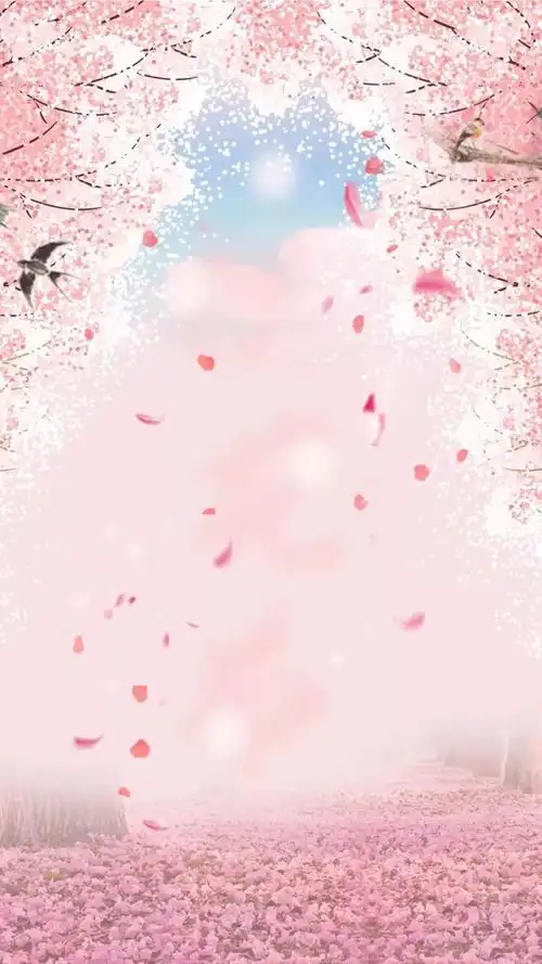 古风唱片樱花树下