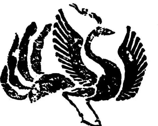 首页 姓氏文化  狼是我国古代西北方突厥族的图腾.