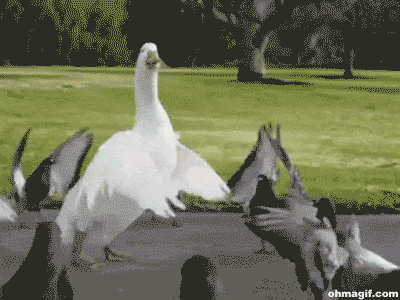 400_300gif 动态图 动图