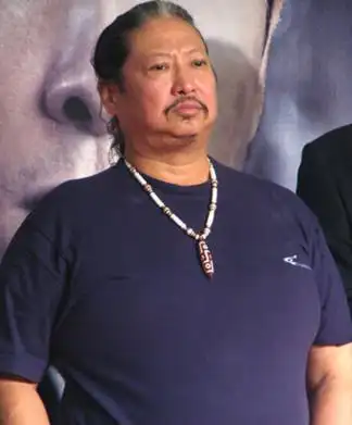 李连杰洪金宝等明星佩戴的 过亿的神秘天珠,到底长什么样(闪电五眼