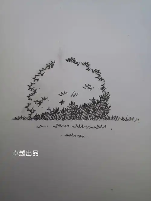 景观手绘小灌木丛7515简易版 步骤7515_手绘_绘画_马克笔