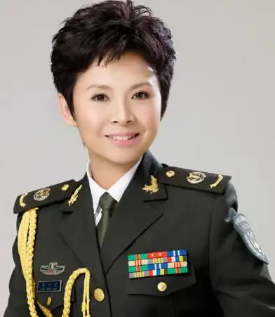 董文华近况:王雪梅两年前的"红楼事件"将女歌星董文华折腾得元气大伤