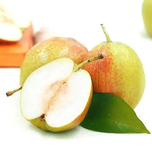 果聚匠心 陕西香梨 8斤 红香酥梨新鲜水果梨子 现摘现发