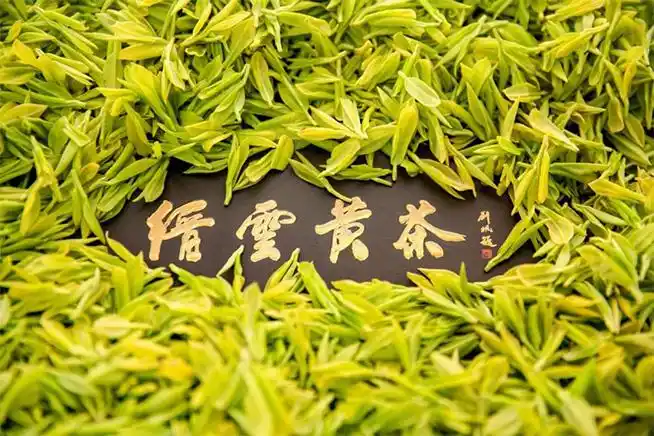 缙云黄茶荣膺2019全国绿色农业十佳茶叶地标品牌