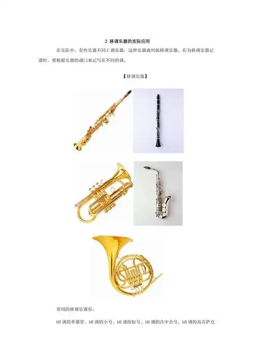 移调和移调乐器word版