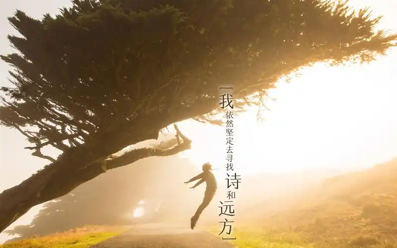 创意小清新文字高清桌面壁纸