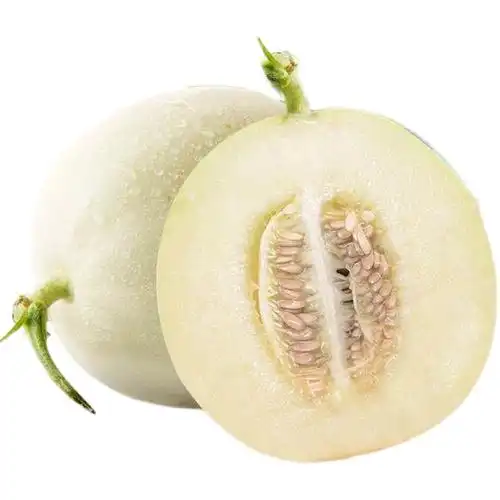 陕西阎良甜瓜脆甜白皮蜜瓜带箱10斤包邮新鲜甜瓜