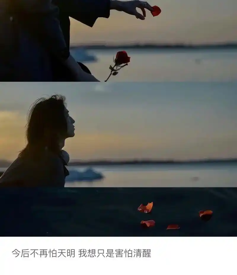 朋友圈背景图及文案.可私拿走原图 #文案 #她说#网易云音乐 - 抖音