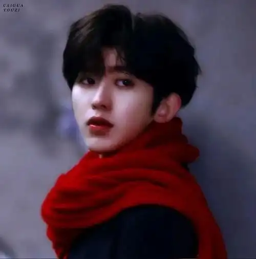 102明星壁纸蔡徐坤头像ikun专属