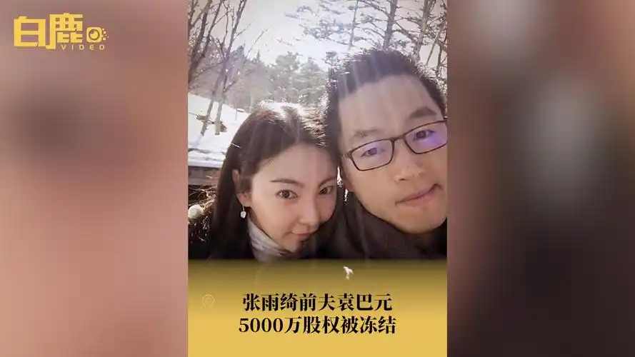 张雨绮前夫袁巴元5000万股权被冻结