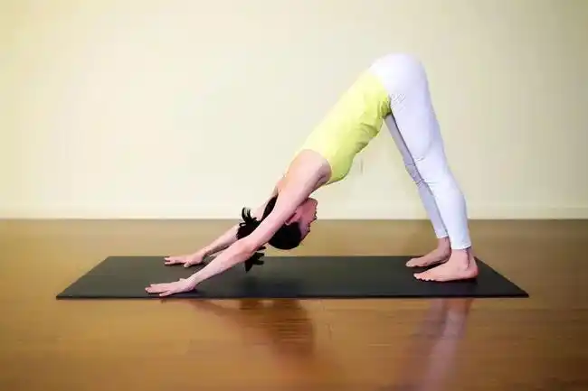 每日一练瑜伽下犬式0308