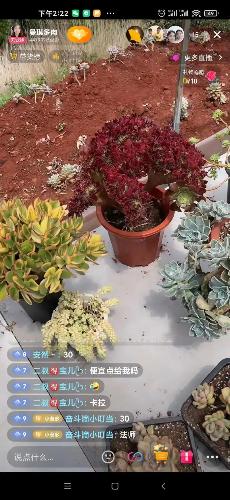 多肉寄养慎重.本来聊挺好的,感觉卖家人也可以,放心寄养,结果 - 抖音