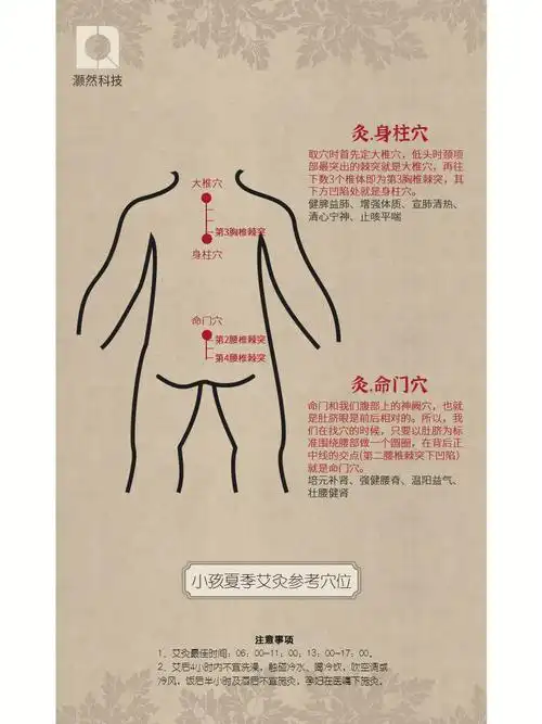 夏季让孩子长得好别错过艾灸这几个穴位