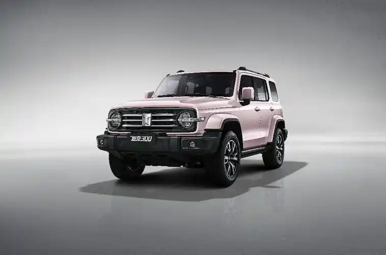 tanke300chengshibanyanzhifen(2)