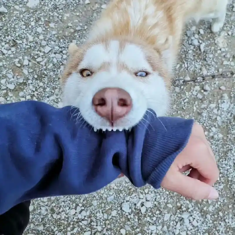 来波沙雕情头#图片 暂时不能下载喜欢可以互关私发# - 抖音