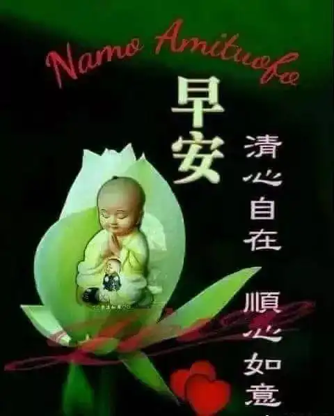 周三早上好问候语和关心句子2019早上好图片表情大全