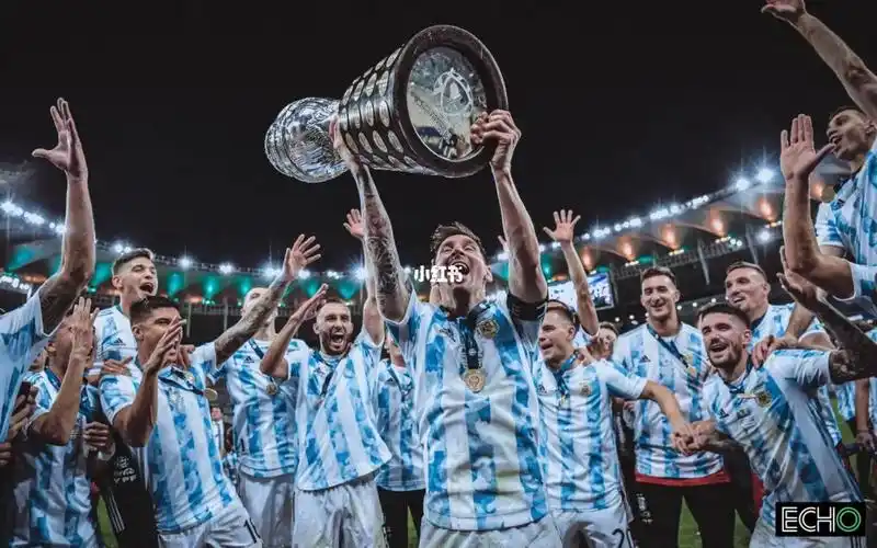 2021美洲杯冠军9693_足球_体育赛事_足球赛事