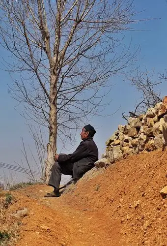 赴一场美丽的杏花之约 - 美篇