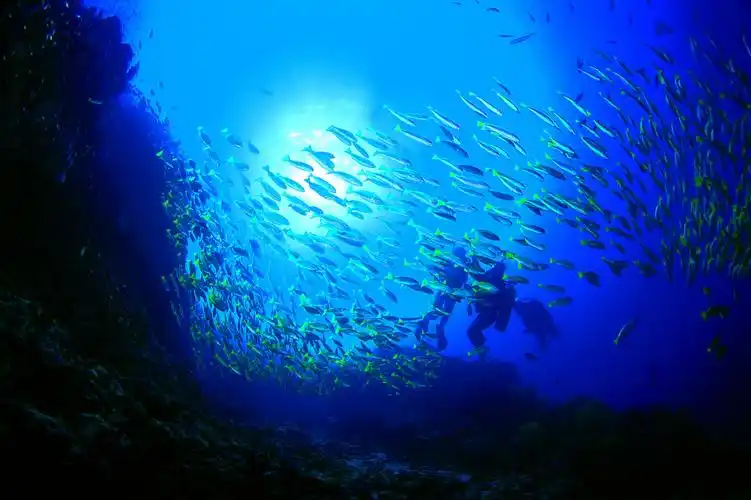 本期焦点出行目的地新风向亲子游预订量激增部分民宿