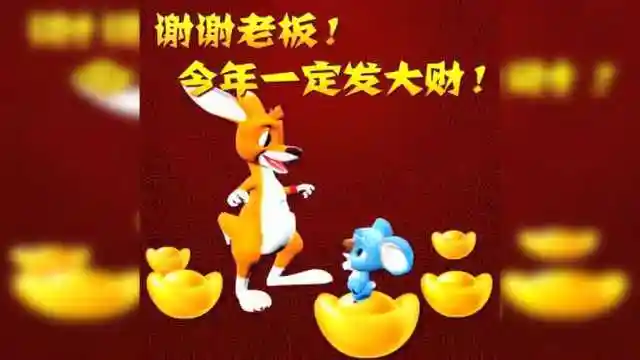 澳洲宝贝袋鼠考拉谢谢老板