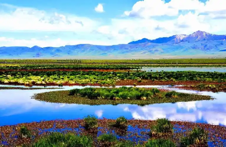 四川若尔盖花湖若尔盖草原上的明珠蓝绿相间美得炫目