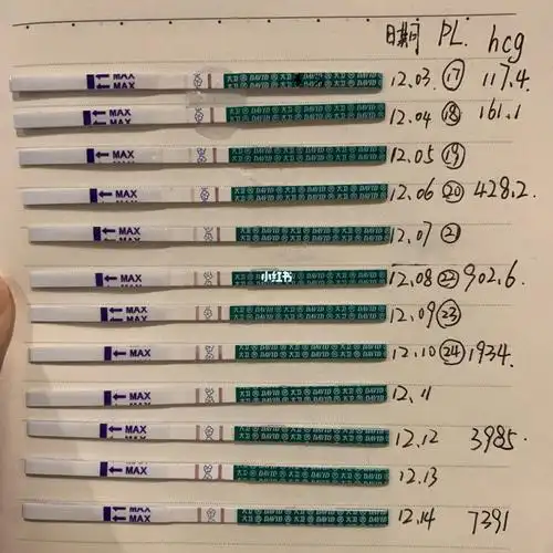 大卫早孕试纸对应hcg值亲测