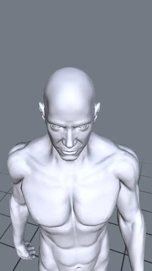 人体模型多方位参考