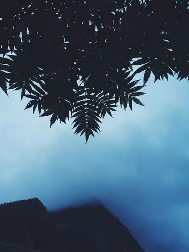 网易云音乐歌曲歌单封面